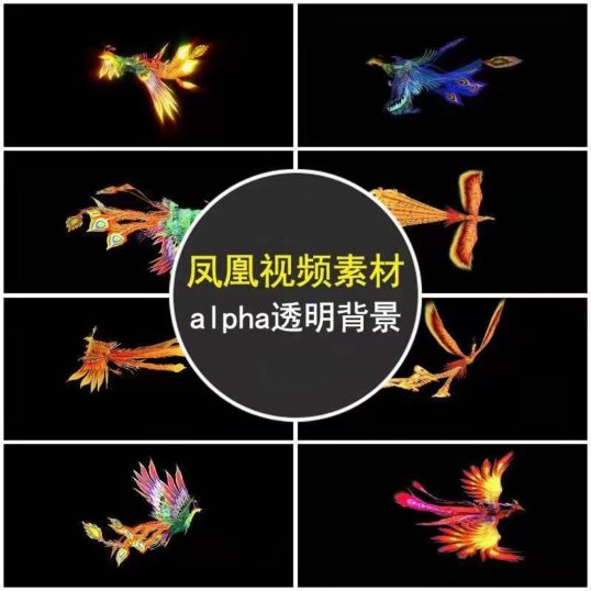 图片[2]-04 飞龙金龙祥龙腾飞舞飞凤金凤背景视频素材-哈云网络